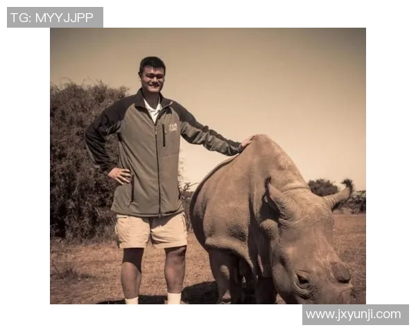 姚明全场比赛精彩回顾展现巨星风采与篮球魅力的完美结合 姚明全场比赛精彩回顾展现巨星风采与篮球魅力的完美结合